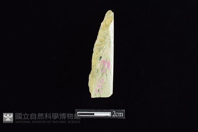 錛鑿形器藏品圖，第2張