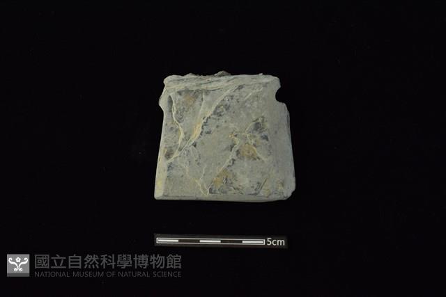 戈形器藏品圖，第1張