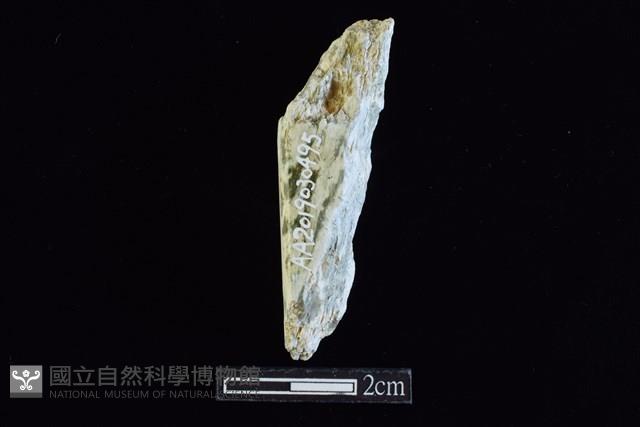 錛鑿形器藏品圖，第1張
