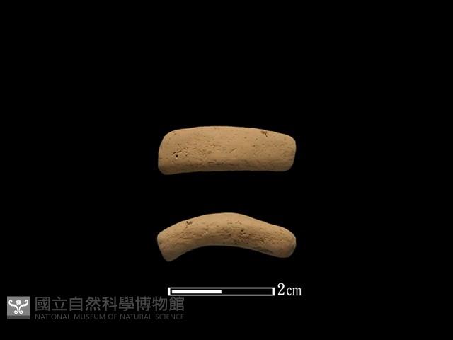 陶環藏品圖，第1張