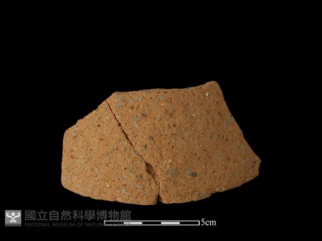 陶片藏品圖，第1張