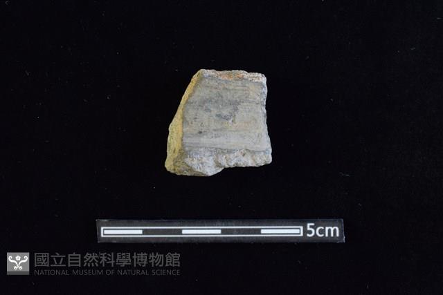 陶罐藏品圖，第1張