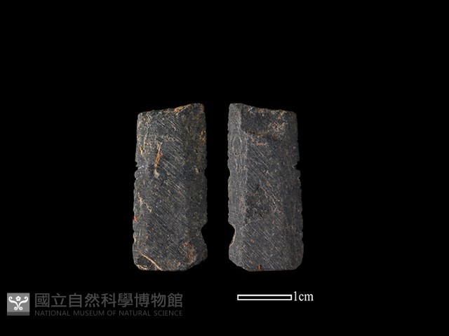 矛鏃形器藏品圖，第1張