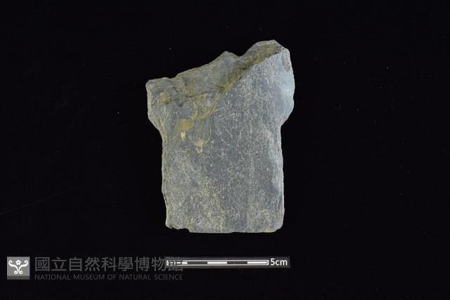 戈形器藏品圖，第1張