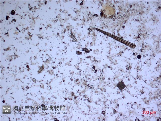 登錄號:A00004545藏品圖，第2張