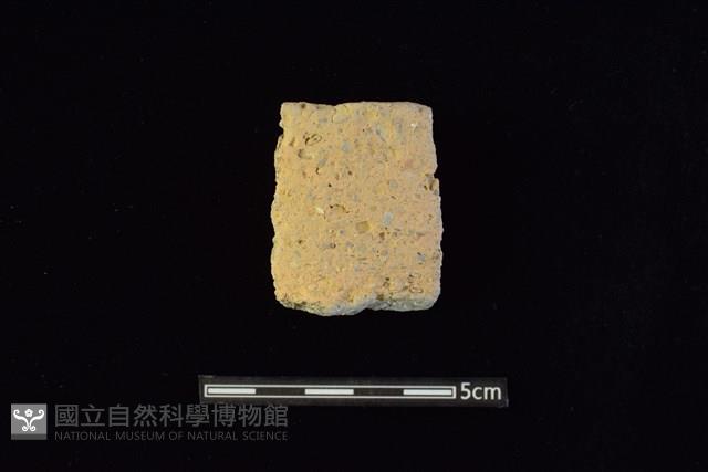 陶罐藏品圖，第1張