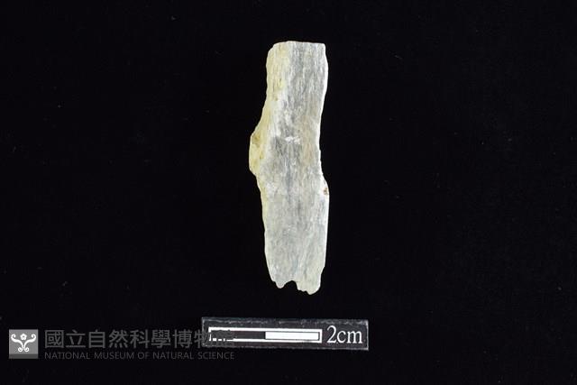 錛鑿形器藏品圖，第1張