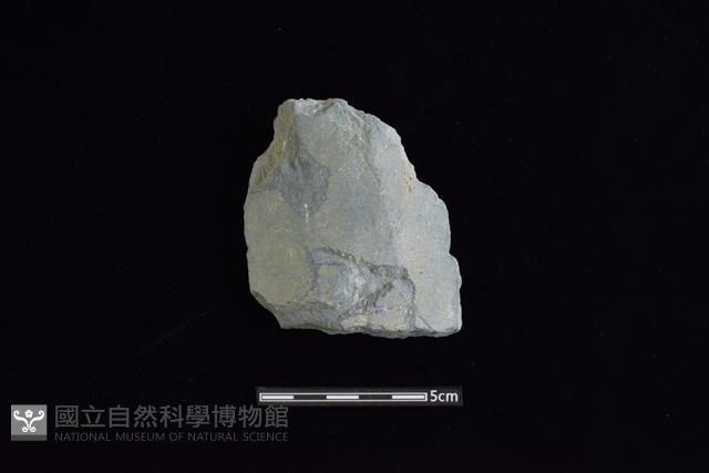 戈形器藏品圖，第1張