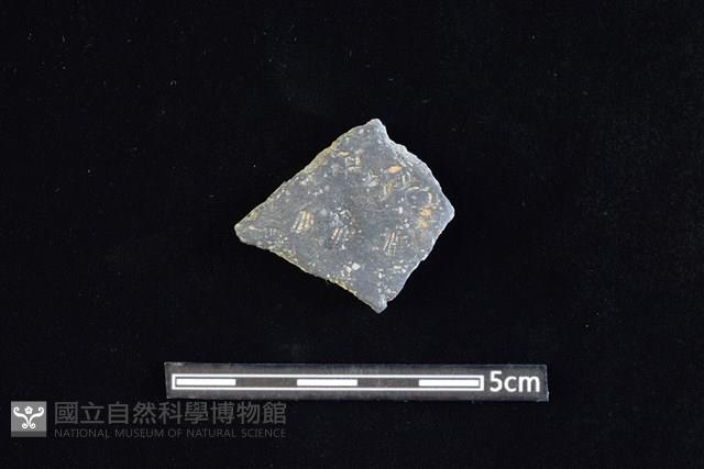 陶片藏品圖，第1張