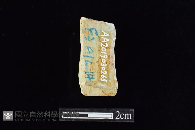 錛鑿形器藏品圖，第2張