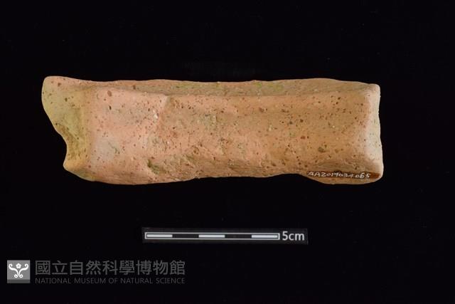 陶罐藏品圖，第2張