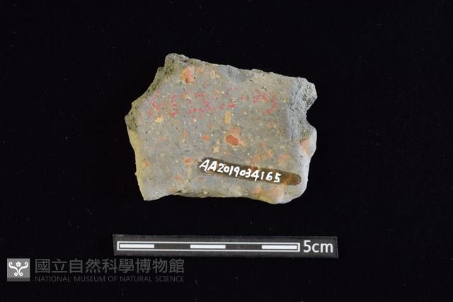 陶片藏品圖，第2張