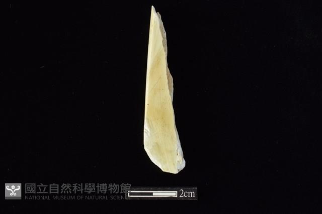 錛鑿形器藏品圖，第2張