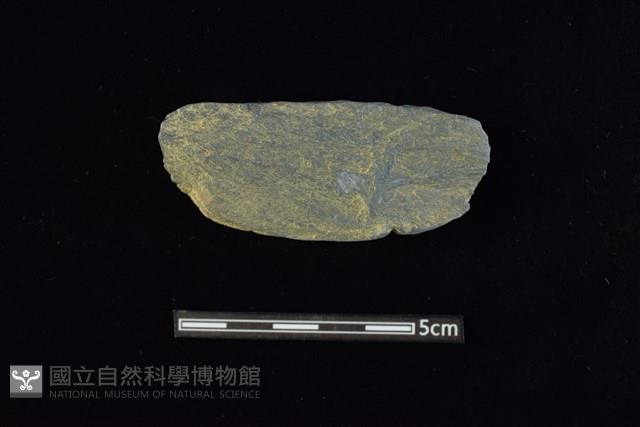 網墜藏品圖，第2張