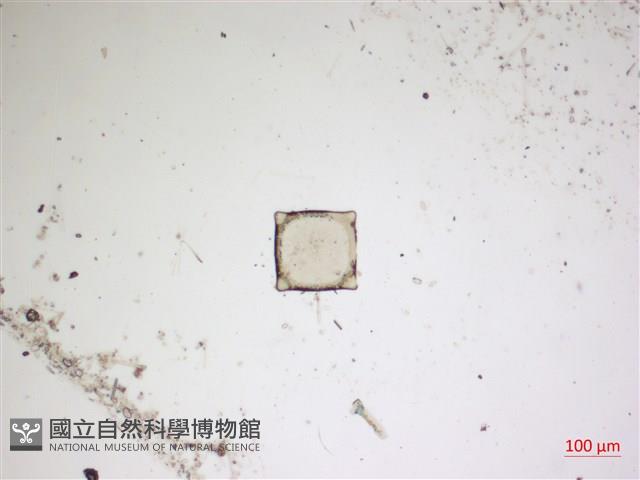 登錄號:A00004565藏品圖，第2張