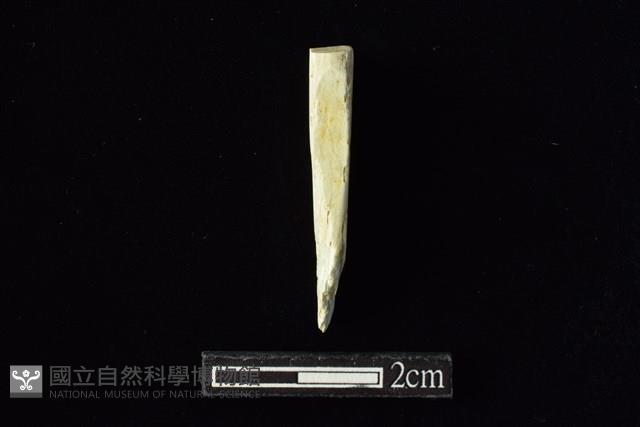 錛鑿形器藏品圖，第1張