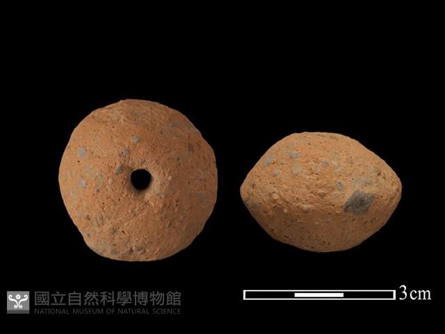 紡輪藏品圖，第1張