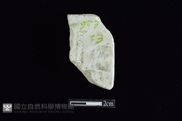 錛鑿形器藏品圖，第2張