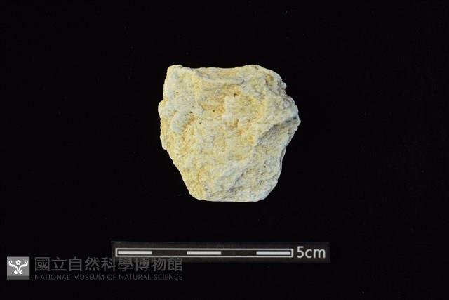 Accession Number:AA2019033365 Collection Image, Figure 1, Total 2 Figures