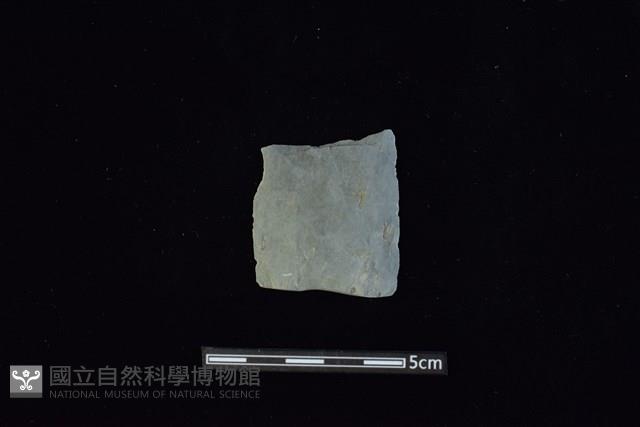 矛鏃形器藏品圖，第1張