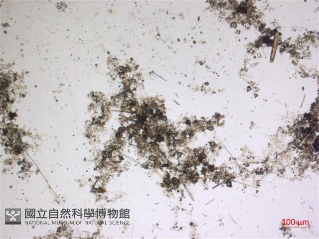登錄號:A00004605藏品圖，第2張