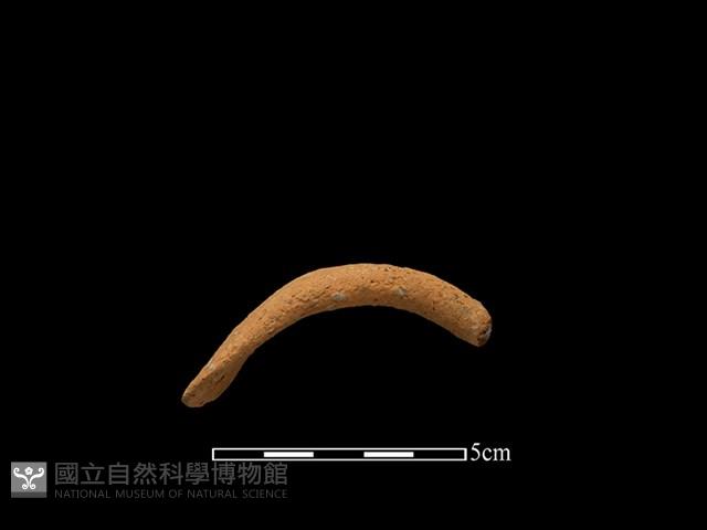 陶把藏品圖，第1張