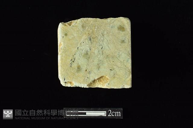 錛鑿形器藏品圖，第2張