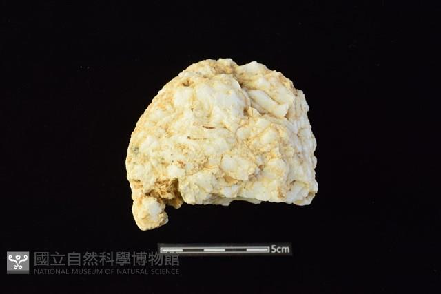 石材藏品圖，第1張