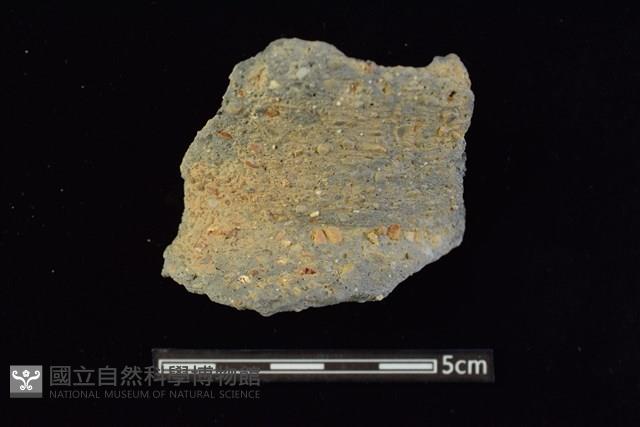 陶罐藏品圖，第1張