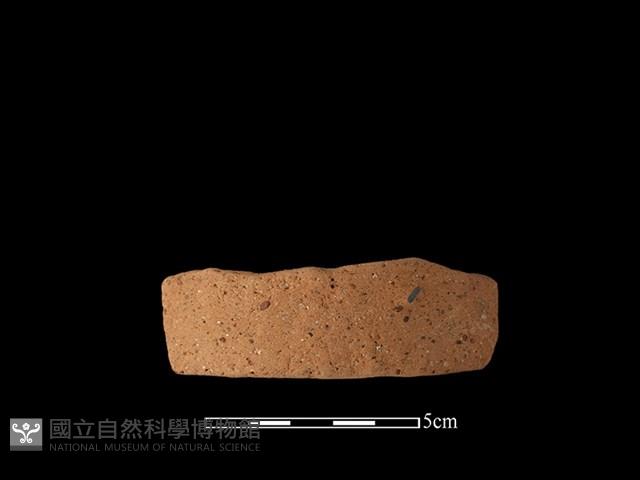 陶片藏品圖，第2張