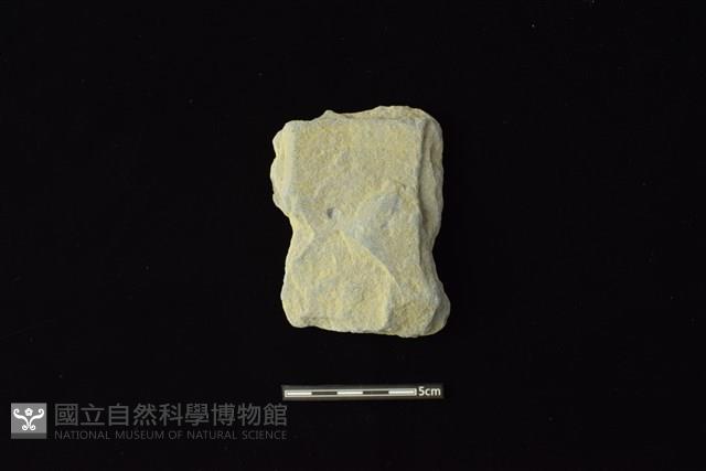 戈形器藏品圖，第1張