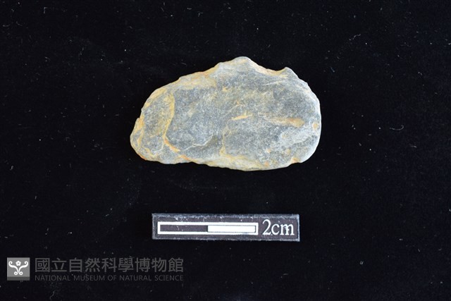 網墜藏品圖，第1張