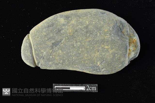 網墜藏品圖，第1張