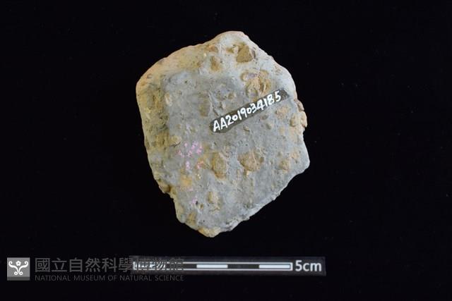 陶片藏品圖，第2張