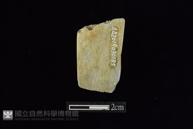 錛鑿形器藏品圖，第2張