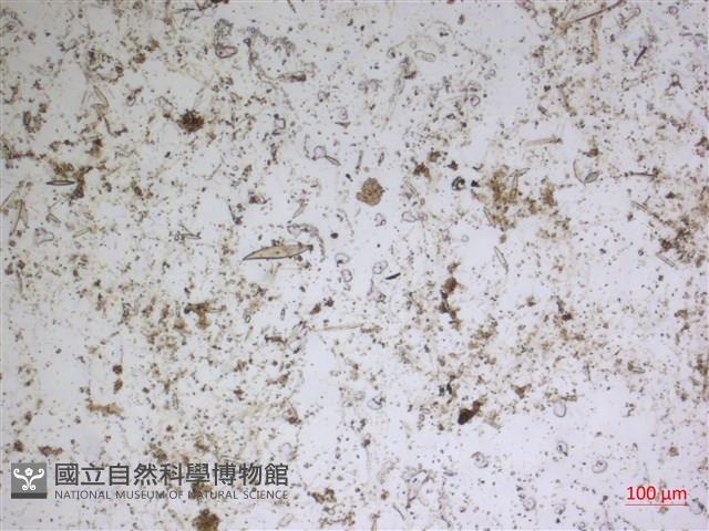 登錄號:A00004585藏品圖，第2張