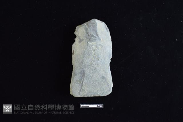 戈形器藏品圖，第1張