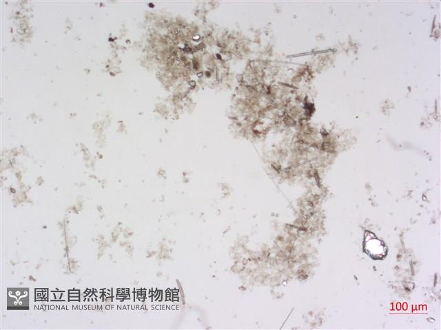 登錄號:A00004485藏品圖，第2張
