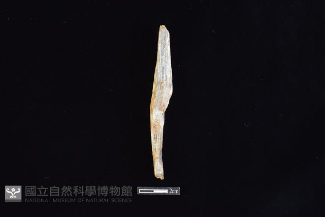 錛鑿形器藏品圖，第1張