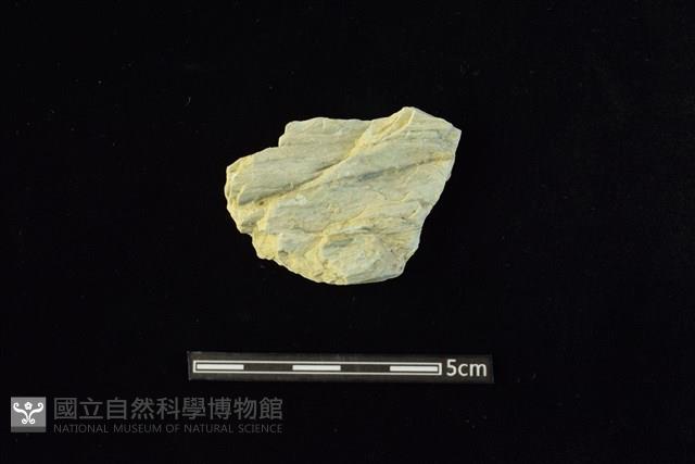 Accession Number:AA2019033385 Collection Image, Figure 1, Total 2 Figures