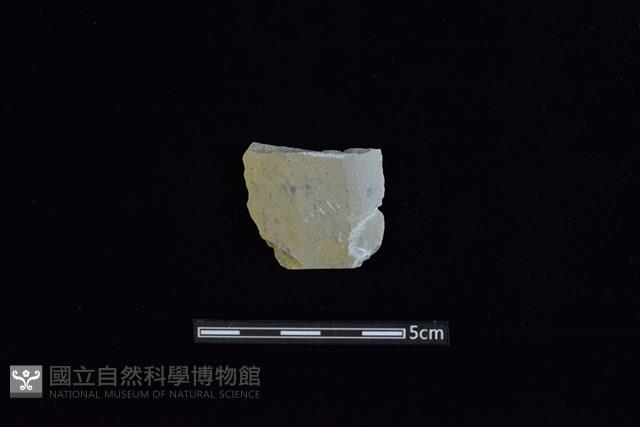 矛鏃形器藏品圖，第1張