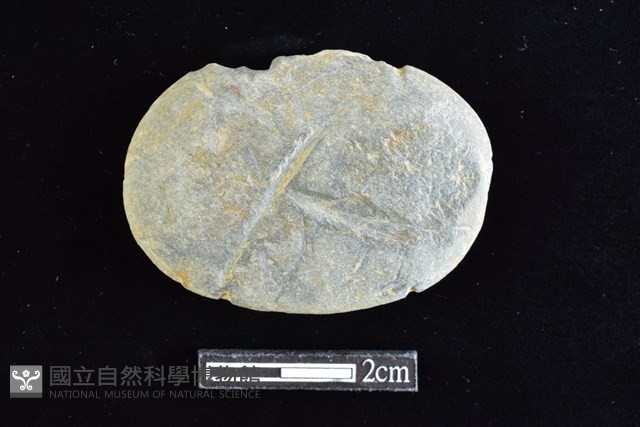 網墜藏品圖，第1張