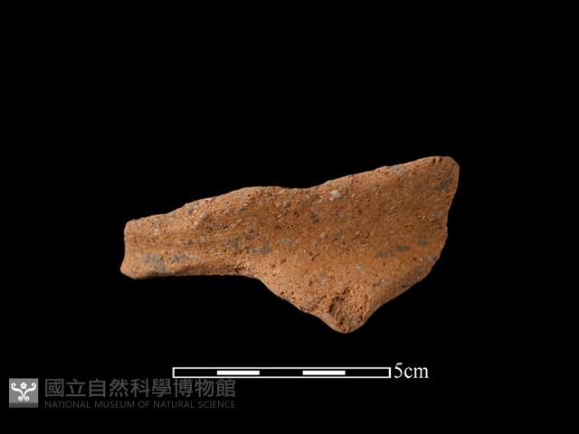 陶片藏品圖，第1張