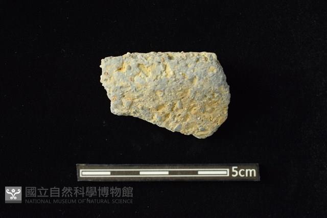 陶容器藏品圖，第1張