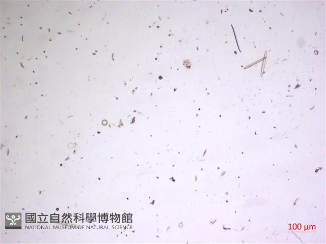 登錄號:A00004631藏品圖，第2張