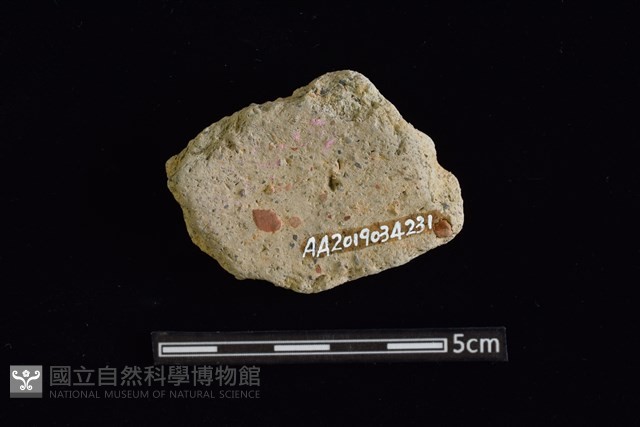 陶片藏品圖，第2張