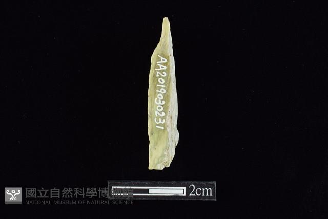 錛鑿形器藏品圖，第2張