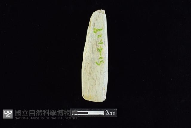 錛鑿形器藏品圖，第2張