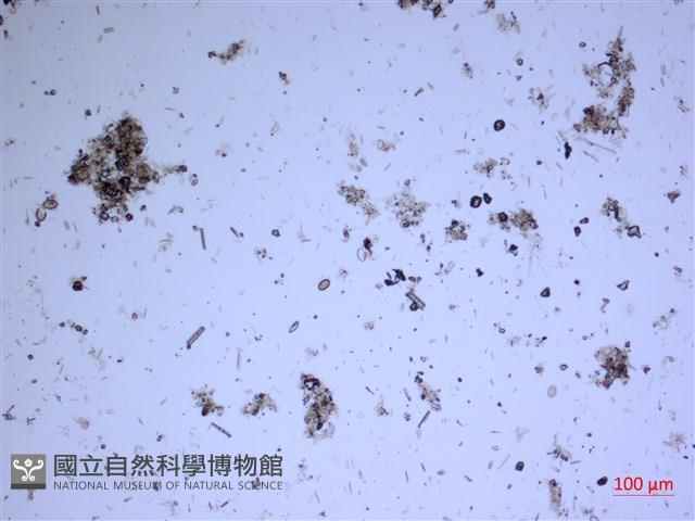 登錄號:A00004531藏品圖，第2張