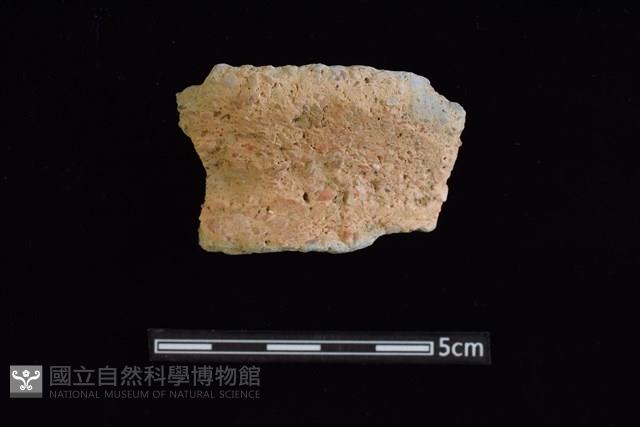 陶罐藏品圖，第1張